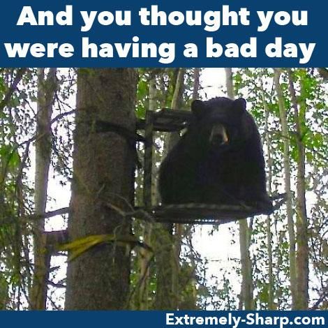 Hunting Humor bear in deer stand Hunting Meme, Funny Hunting Pics, Hunting Quotes Funny, Deer Hunting Humor, Hunting Pics, Hunting Jokes, Hunting Photography, Deer Wallpaper, Hunting Quotes