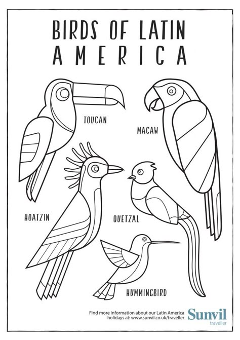 Birds-of-Latin-America-Ilustrations Latin American Crafts, South America Coloring Page, South America Activities For Kids, South America Crafts For Kids, South America Crafts, Brazil Crafts, Ryan Sullivan, Hispanic Heritage Month Crafts, Month Coloring Pages