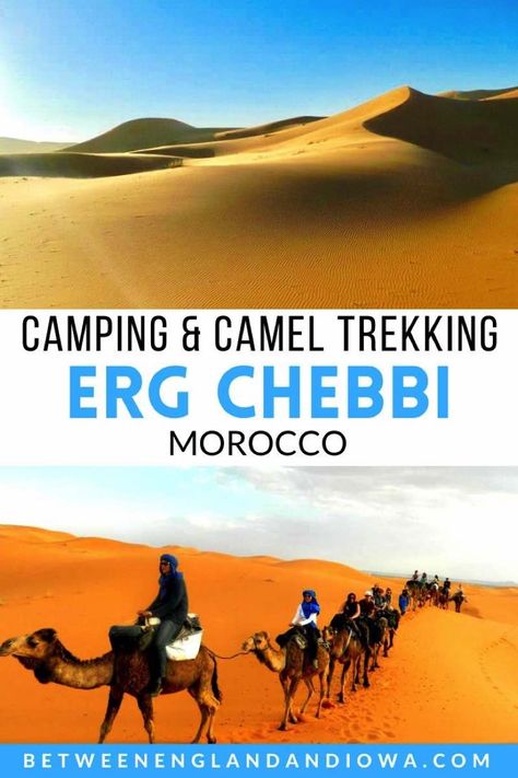 Day Trips From Marrakech, Morocco Beach, Bedouin Tent, Morocco Desert, Morocco Itinerary, Desert Trip, Round The World Trip, Morocco Tours, Desert Tour