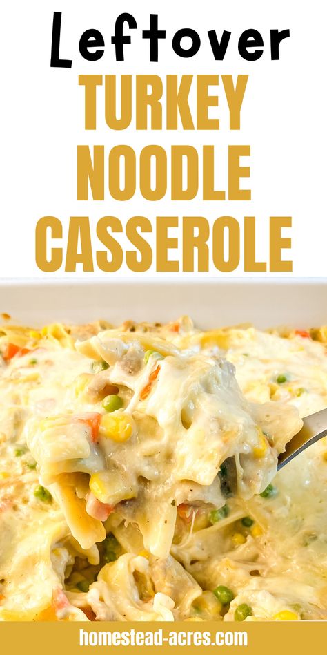 Got leftover turkey? This creamy turkey noodle casserole is just what you need! An easy, satisfying dinner idea that turns those Thanksgiving leftovers into the best meal of the week. Whether you’re looking for something comforting or just need a quick dinner recipe, this turkey casserole hits the spot. Perfect for busy nights, it's a must-try for anyone wondering what to make with Thanksgiving leftovers. Check out this creamy, cozy dish that’s always a hit at the table! Leftovers From Thanksgiving, Meals To Make With Turkey Meat, Easy Turkey Noodle Casserole, Crockpot Turkey Casserole Recipes, Leftover Turkey Enchiladas Recipes, Recipes With Shredded Turkey, Leftover Turkey Pot Pie Recipe Easy, Leftover Turkey And Noodles Recipe, Left Over Thanksgiving Turkey Recipe