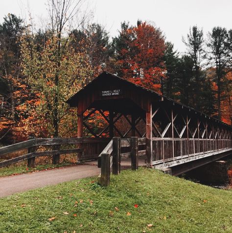 allegany state park Allegany State Park, Park Aesthetic, State Park, State Parks