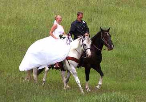 Entrance Horse Wedding Photos, Horse Wedding, Wedding Entrance, Farm Wedding, Wedding Details, Maryland, Event Planning, Real Weddings, Entrance