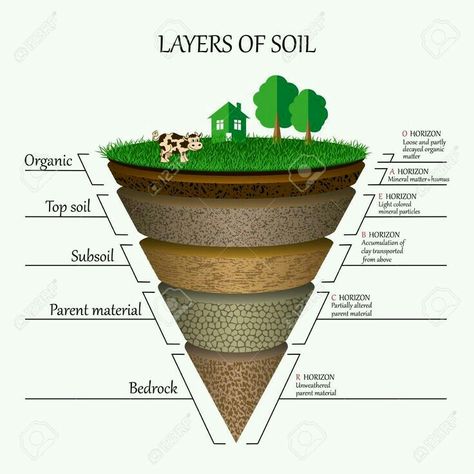 Soil Diagram, Layers Of Soil, Basic Geography, Science Diagrams, Earth Science Lessons, Earth Layers, Teaching Geography, Physical Geography, Geography Lessons