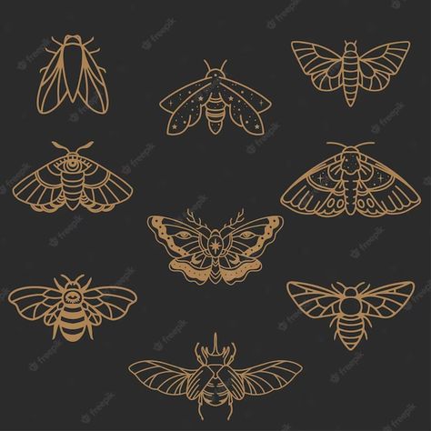 Premium Vector | Insects icon set butterfly fly moth skarab in minimalist style Moth Vector, Butterflies Flying, Minimalist Style, Icon Set, Minimalist Fashion, Premium Vector, Moth, Graphic Resources, Insects