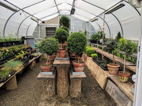 Martha Stewart Greenhouse, Greenhouse Tunnel, Poly Tunnel, Bedford New York, High Tunnel, Garden Cover, Tunnel Greenhouse, Cold Frames, Diy Greenhouse Plans