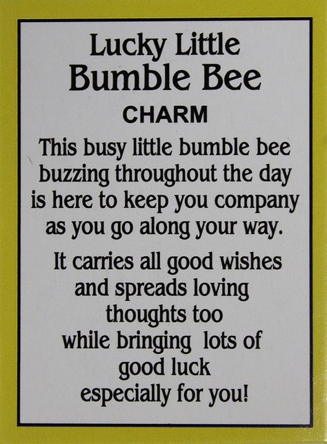 AmazonSmile: Ganz Lucky Little Bumble Bee Charm with Story Card: Home & Kitchen Bumble Bee Sayings, Charm Quotes, Bee Sayings, Pollination Activity, Bee Happy Quotes, Bee Items, Bee Quotes, Bumble Bee Art, Bee Dog