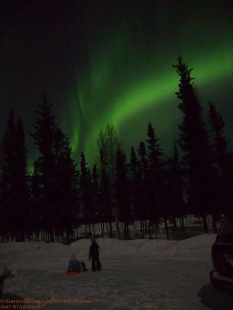 Playing under the lights last night at Chena Lakes, North Pole, AK, The Kp level was 5 North Pole Lights, Aurora Borealis Alaska, Blue Aura, The North Pole, Blue Hour, Under The Lights, North Pole, Aurora Borealis, Nature Photos