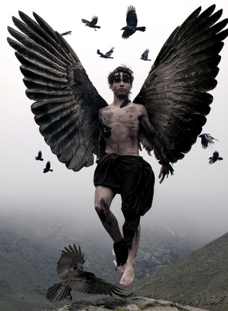 “We have to continually be jumping off cliffs and developing our wings on the way down.”  ― Kurt Vonnegut Male Angels, Male Angel, Ange Demon, Black Wings, Angel Pictures, Foto Art, Angels And Demons, Dark Angel, Fairy Angel