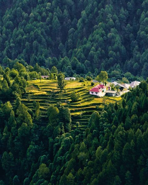 These beautiful houses often becomes a spotlight to the stage of this world. First Rays of the day kissing farm maintained by this family in the mountains. . . Dalhousie | Distt- Chamba Himachal Pradesh . Photo By- @worldthroughlens01 (Nayan Khandelwal) #Follow . For Feature Hashtag Your Pictures/Videos With #InstaHimachal . Hills Are Vulnerable, Say No To Plastic, Snacks and Water Bottles. Save Himalayas, Don't Litter on Mountains. Help Your Mother Nature, Help Yourself . #Himachal #HimachalPra Dalhousie Photography, Dalhousie Himachal, Amazing India, Munnar, Beautiful Sites, Beautiful Villages, Himachal Pradesh, Ancient Architecture, Incredible India