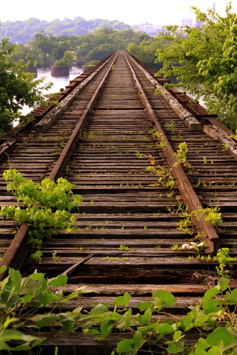 The Old Railroad Bridge View #1 Tracks to Nowhere - Florence, AL | The Old Railroad Bridge dates back over 140 years as an important crossing of the Tennessee River between Florence and Sheffield in The Shoals area of Alabama. Fiction Prompts, Abandoned Locations, Florence Alabama, Lost Island, Alabama Travel, Magic Places, Railroad Bridge, Abandoned Train, Railway Bridges