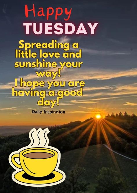 Happy Tuesday Morning Inspiration, Hello Tuesday Mornings, Happy Tuesday Blessings, Tuesday Morning Wishes, Tuesday Wishes, Happy Tuesday Morning, Happy Sunday Images, Morning Tuesday, Hello Tuesday