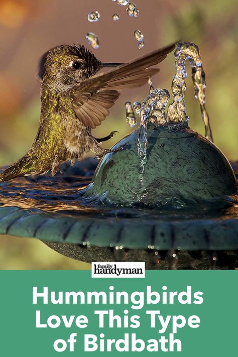 Bird Bath Fountain Diy, Homemade Bird Baths, Hummingbird Bath Fountain, Hummingbird Water Fountain, Diy Hummingbird Bath, Hummingbird Bath, Hummingbird Bath Fountain Diy, Hummingbird Fountain Bath, Bird Bath Ideas