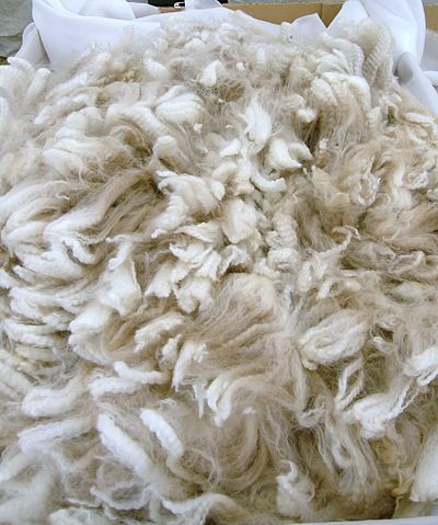 Alpaca fiber - Wikipedia, the free encyclopedia Textile Knowledge, Alpaca Fleece, Alpaca Farm, Spinning Yarn, Textiles Techniques, Alpaca Fiber, Spinning Fiber, Spinning Wheel, Art Business