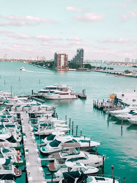 Get great views and awesome food at Biscayne Bay. Close to the Port of Miami and Biscayne Bay Market. Biscayne Bay Miami, Books 2024, Miami Airport, South Beach Hotels, Miami Travel, North Miami Beach, Hilton Hotel, Awesome Food, Interactive Map