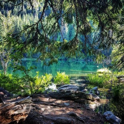 1. Hidden Lake Trail, Lake Wenatchee State Park Lake Wenatchee, Backpacking Trails, Hidden Lake, Washington Hikes, Cascade National Park, Washington Travel, North Cascades National Park, Evergreen State, Survival Camping