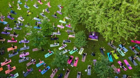 11 Yoga Festivals You Need to Know About Quarter Goals, Wellness Festival, 12 Week Year, 4 Hour Work Week, Yoga Festival, Hidden Potential, Intentional Life, I Love My Life, Yoga Travel