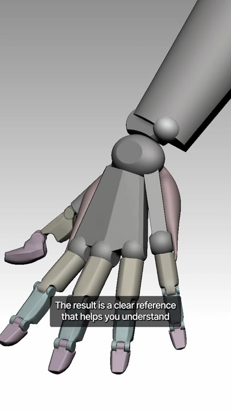 1st level hand block-out Anatomy For Sculptors, Zbrush Anatomy, Anatomy Book, Human Anatomy Reference, Hand Anatomy, 3d Anatomy, Zbrush Character, Zbrush Tutorial, Anatomy Sculpture