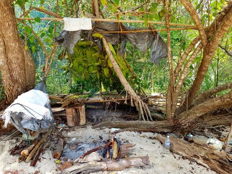 This is our shelter from our four day survival trip on a deserted tropical island off the coast between Malaysia and Thailand. We went here with nothing but a knife, a flint and a machete. Jungle Survival Shelter, Desert Island Survival, Deserted Island Survival, Stranded Island Aesthetic, Stuck On A Deserted Island Aesthetic, Island Survival Aesthetic, Stranded On An Island Aesthetic, Deserted Island Aesthetic, Stranded Island