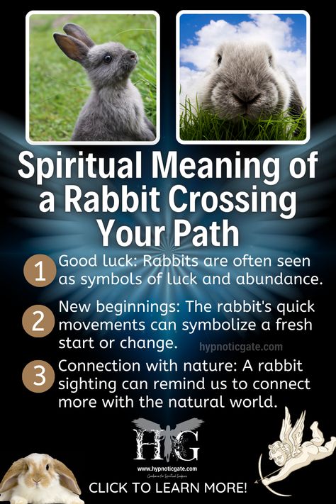 Bunny Spirit Animal, Rabbit Spirit Animal Meaning, Rabbit Symbolism, Rabbit Totem, Rabbit Sign, Jennifer Anderson, Hippie Things, Spirit Animal Meaning, Animal Meanings