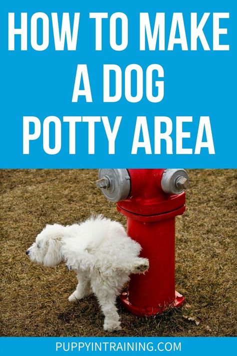 How To Make A Dog Potty Area - White Dog Fire Hydrant peeing Outdoor Dog Potty Area, Dog Poop Area, Dog Yard Landscaping, Dog Fire Hydrant, Outdoor Dog Area, Backyard Dog Area, Dog Potty Area, Dog Friendly Backyard, Dog Backyard