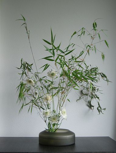 Ikebana 'Bamboo forest' | by Otomodachi Bamboo Flower Arrangement, Bamboo Floral Arrangements, Bamboo Flower Arrangement Floral Design, Ikebana Tall Vase, Ikebana Bamboo Arrangements, Ikebana Sogetsu Vase, Bamboo Leaves, Bamboo Forest, Lifestyle Design