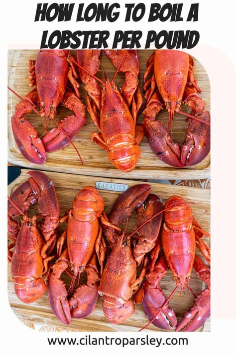 Lobster Boil Recipe, How To Boil Lobster, Boiled Lobster, Boiled Lobster Tail, How Long To Boil Lobster, How To Cook Live Lobster, Preparing Lobster Tails, How To Prepare Lobster, Lobster Sauce