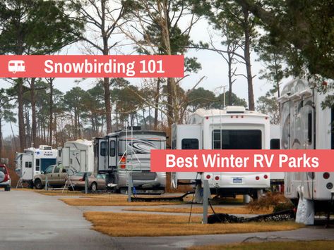 Head down south this winter and enjoy camping in the warmer climate at these campgrounds, the best snowbird RV parks in the United States. Winter Rv Camping, Southern California Camping, Acadia National Park Camping, Camping Winter, Camper Diy, Best Rv Parks, Rv Camping Checklist, Rv Trips, Rv Destination