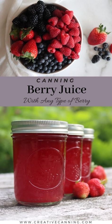 Homemade Strawberry Juice, Canning Raspberry Juice, Canning Cherry Juice, Canning Fresh Fruit Juice, Steam Juicer Recipes Canning, Blueberry Canning Recipes, Juice Canning Recipes, Blackberry Juice Recipes, Canning Berries