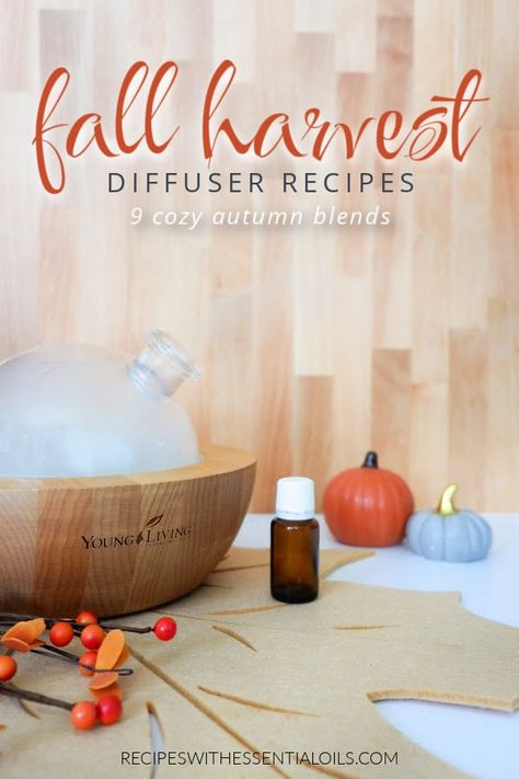 9 Fall Harvest Diffuser Blend Recipes Clean Fall Diffuser Blends, Young Living Fall Diffuser Blends, November Diffuser Blends, Fall Essential Oils, Fall Diffuser Blends, Time In Nature, Spa Business, Harvest Recipes, Diffuser Blend