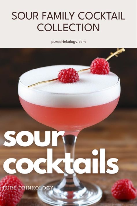 Looking to shake things up? Check out our delightful Sour Family cocktail recipes that will impress your guests and tantalize your taste buds! From zesty lemon sour sips to tangy whiskey cocktails, there's something for everyone. Perfect for parties, happy hours at home, or a leisurely weekend treat. Explore these easy cocktail recipes to discover flavor blends that sing of tangy goodness. Elevate your entertaining life and hit refresh on your drink menu with our selection. You'll become the life of the party with these vibrant beverages! Sour Cocktail Recipes, Gin Lemon Cocktail, Sour Recipes, Brandy Sour, Amaretto Sour Cocktail, Sour Cocktails, Caipirinha Cocktail, Vodka Sour, Easy Cocktail Recipes