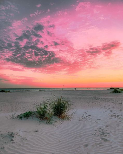 🌊Sarasota Florida 🌅 on Instagram: “📸 @_sunsetandchill_ ~~~~~~~ To submit use #sarasota_florida, DM me, and or Tag me in your post! ~~~~~~~ #sarasota #sarasotaflorida #florida…” Southwest Florida, Siesta Key, Sarasota Florida, Custom Closet, Naples Fl, City Aesthetic, Summer Travel, Sarasota, Beach Sunset