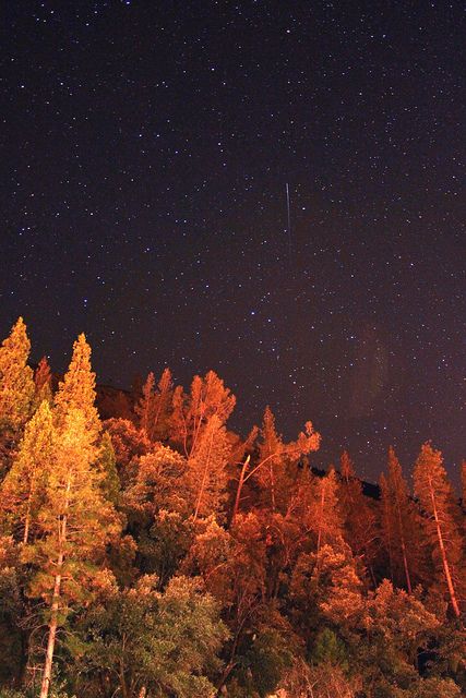 Yosemite by Abby Alcala Orange Leaves, Autumn Love, I Love Fall, Love Fall, Favorite Season, Autumn Aesthetic, The Night Sky, Bright Orange, Autumn Fall