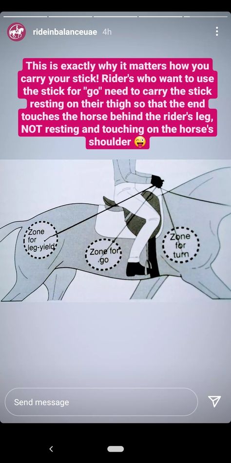 Training Horses Exercises, Horse Training Ground Work, Riding Ideas, Horse Training Exercises, Horseback Riding Tips, Horse Lessons, Dressage Training, Riding Tips, Horse Exercises