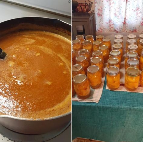 Homemade Peach Butter: A Burst of Summery Sweetness Spicy Pickled Onions, Home Made Butter, Substitute For Brown Sugar, Homemade Nacho Cheese Sauce, Peach Butter, Homemade Nachos, Christmas Jam, Cheesecake In A Jar, Peach Preserves