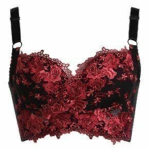 Adjustable Bra, Cute Bras, Pretty Lingerie, Embroidery Lace, Dolce E Gabbana, Wireless Bra, Luxury Lingerie, Beautiful Lingerie, Sports Illustrated