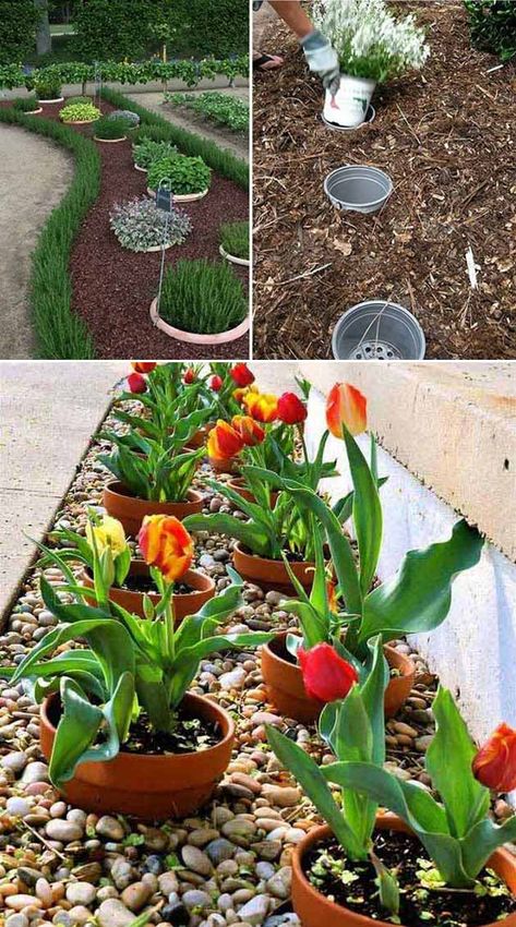 Dig a hole and fill it with an empty plastic pot, so that you can easily replace your seasonal potted plants | Clever Gardening Ideas on Low Budget Diy Garden Landscaping, Flowers In Pots, Garden Ideas Cheap, Budget Garden, Rope Crafts, Creative Gardening, Seasonal Garden, Easy Garden, Perfect Garden