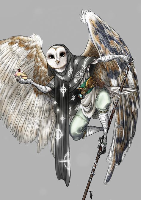 Monk Dnd, Dnd Cleric, Bird People, Dnd Races, Humanoid Creatures, Character Inspiration Male, Dungeons And Dragons Characters, Dnd Art, Dungeons And Dragons Homebrew