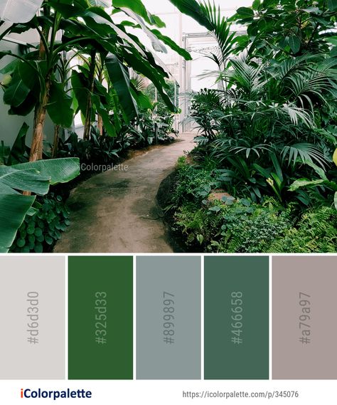 104 Rainforest Color Palette ideas in 2019 | iColorpalette Jungle Nature, Color Palette Ideas, Bathroom Paint, Nature Background Images, Forest Color, Palette Ideas, Leaf Plant, Brand Color Palette, Green Colour Palette