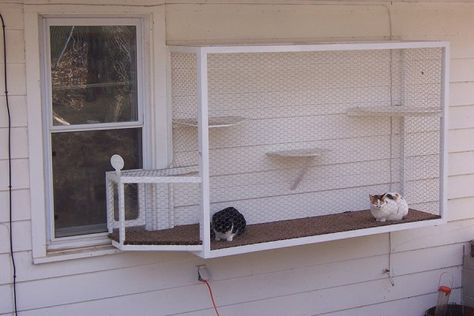 Picture Gallery | Cat Terrace Cat Tunnel Outdoor Window, Cat Patio Enclosure Window, Cat Door Window Insert, Diy Cat Window Box Ideas, Window Catio Ideas For Cats Outdoor, Cat Window Perch Outdoor, Cat Runs Outdoor, Window Catio Diy, Cat Window Box Diy