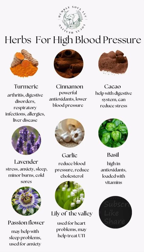 Managing high blood pressure naturally can be supported by incorporating certain herbs into your lifestyle. However, it's crucial to remember that these should complement, not replace, medical treatments. Always seek advice from a healthcare professional before adding new herbs to your regimen. Herbs For High Blood Pressure, Blood Pressure Chart, Natural Herbs, Blood Sugar, Blood Pressure, Herbs, Medical