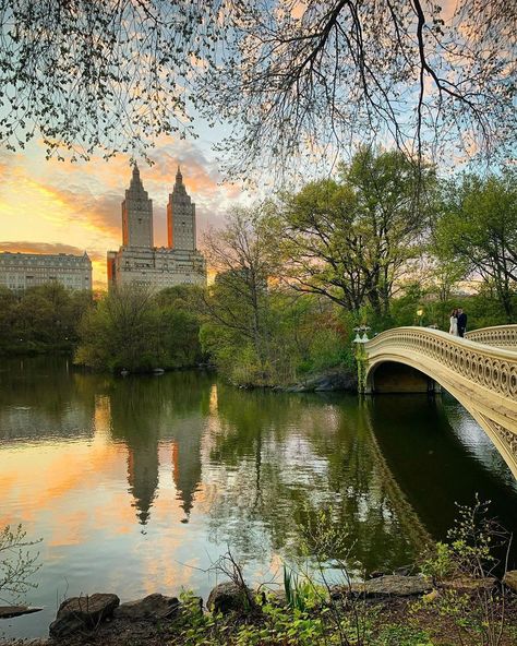 New York Facts, Cental Park, Central Park Aesthetic, Nyc Photoshoot, Spring Sunset, New York City Aesthetic, Central Park Nyc, Spring Park, New York Central