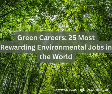 Green Careers: 25 Most Rewarding Environmental Jobs in the World – Decoding Biosphere Environmental Business Ideas, Alyse Core, Environmental Science Aesthetic, Environmental Careers, Ecology Aesthetic, Environmental Planning, Environmental Jobs, Biology Jobs, Forest Therapy