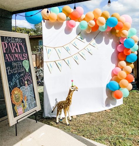 Party Animal Pinata, Party Animal Photo Backdrop, Zoo Themed 2nd Birthday Party, Party Animal First Birthday Girl, One Party Animal Birthday, Party Animal Backdrop, Animal Parade Birthday Party, Zoo 2nd Birthday Party, Party Animal Birthday Theme Decoration