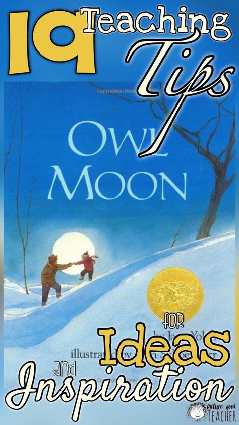 Owl Moon Activities First Grade, Owl Moon Art, Owl Moon Activities, Moon Lessons, First Grade Themes, Reading Skills And Strategies, Last Quarter Moon, Literature Unit Studies, Moon Activities