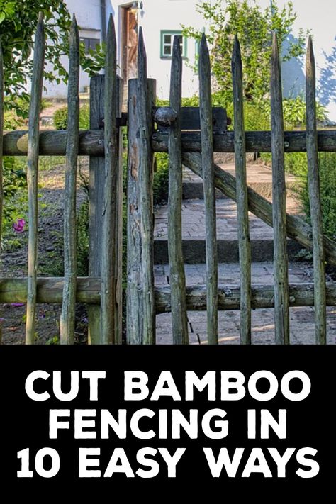 How to Cut Bamboo Fencing Diy Bamboo Fences, Diy Halloween Fence, Bamboo Garden Fence, Bamboo Screening Fence, Halloween Fence, Bamboo Garden Fences, Diy Crafts To Do At Home, Bamboo Fencing, Chicken Wire Fence