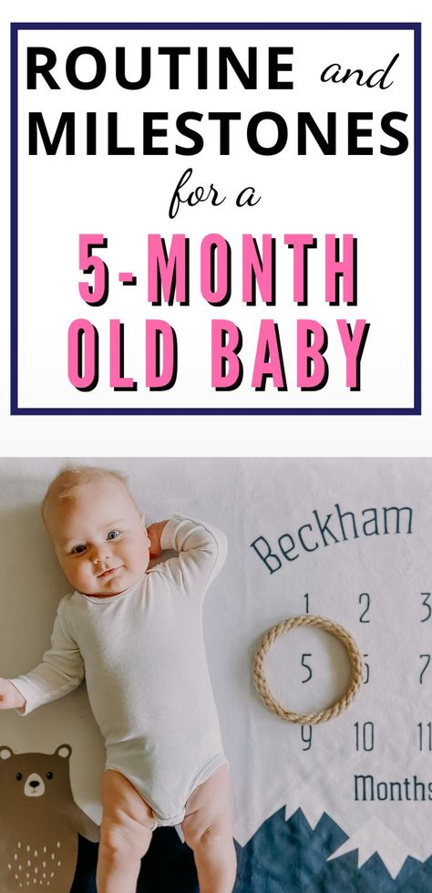 5 Month Schedule, 5 Month Milestones, 5 Month Old Milestones, 5 Month Old Schedule, 5 Month Baby Milestones, Baby Sleeping Temperature, Baby Birthday Quotes, Month Milestones, Baby Sleeping Bag Pattern