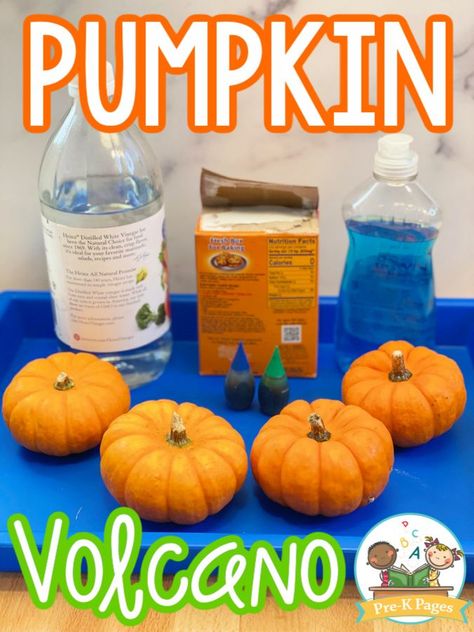 Volcano Pumpkin Experiment, Pumpkin Science Preschool, Volcano Pumpkin, Pumpkin Volcano, Pumpkin Science Activities, Pumpkin Science Experiment, Autumn Preschool Theme, Pumpkins Preschool, Pumpkin Science