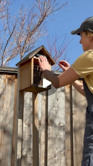 michelle | backyard farm & garden on Instagram: "It’s mason bee season! 🐝

If you’ve been following for a while, you know that every Spring I order mason bees from @crown_bees for my little backyard orchard.

I love mason bees for my backyard for a few reasons:
🌸 they’re super pollinators: 1 mason bee can do the pollinating work of 100 honey bees
🌸 they don’t travel far, staying within a 300 yard radius, so they’ll work within a backyard garden
🌸 they are gentle, rarely sting, and I find that they love to people watch!
🌸 they don’t produce honey, so there’s no work involved, just place them in their home and watch them do their work
🌸 they’re solitary bees that are native to North America (local ladies!)

What do you think? Will you get mason bees? 👩🏼‍🌾🐝

Check out Crown Bees web Water For Bees Ideas, Mason Bee House Diy, Water For Bees, Garden Habitat, Honey Bee Farming, Backyard Orchard, Bee Farming, Heirloom Garden, Mason Bee House