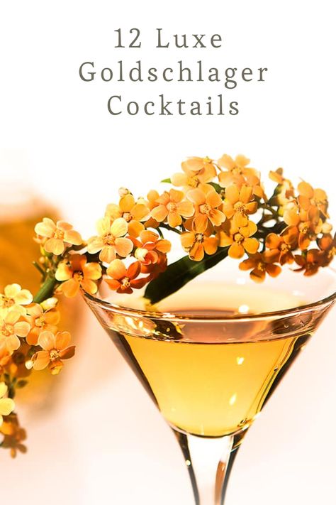 Goldschlager is easily recognizable by the gold flakes in the bottle. If you like the aesthetic of it but aren’t sure how to use this cinnamon liqueur, don’t worry! Here are 12 Goldschlager cocktails to fit every palette. Drinks With Goldschlager, Goldschlager Shots, Goldschlager Drinks Recipes, Goldschlager Cocktails, Goldschlager Drinks, Gold Shots, Drink Essentials, Cinnamon Cocktail, Apple Sangria