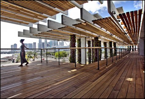 Perez Art Museum, in Miami, FL. Look at that detail! Cover Walkway, Perez Art Museum Miami, Miami Attractions, Perez Art Museum, Modern Miami, Wrap Around Balcony, Art Galleries Design, Sun Roof, Steel Detail